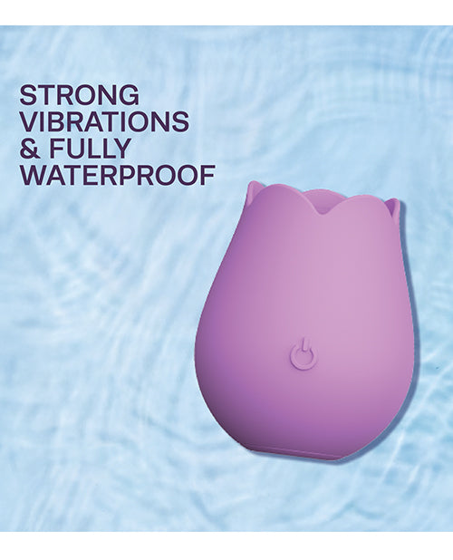 Cosmopolitan X plusOne Rose to the Top Vibe