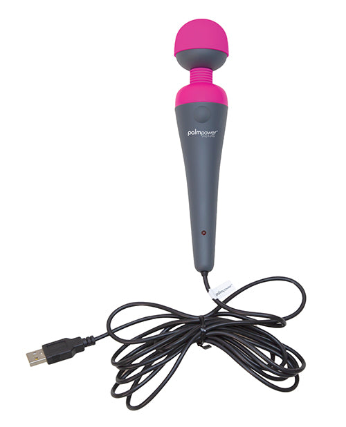 Palm Power Plug & Play