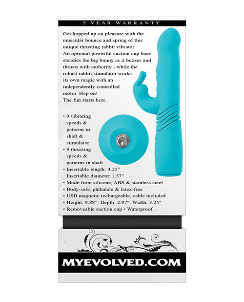 EN-RS-6008-2 - EN-RS-6008-2f