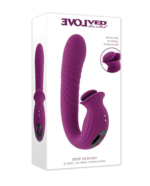 Evolved Evolved Deep Ecstasy - Purple - Image 2