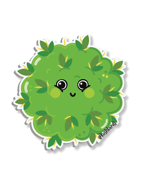 KK-KS-KUSHONU - KK-KS-KUSHONU