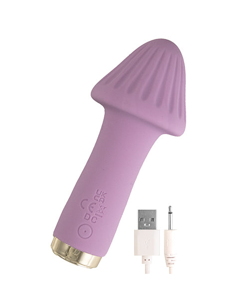 NT3145-2 - NT3145-2c