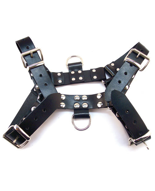 Rouge Rouge Over the Head Large Harness - Black - Image 2