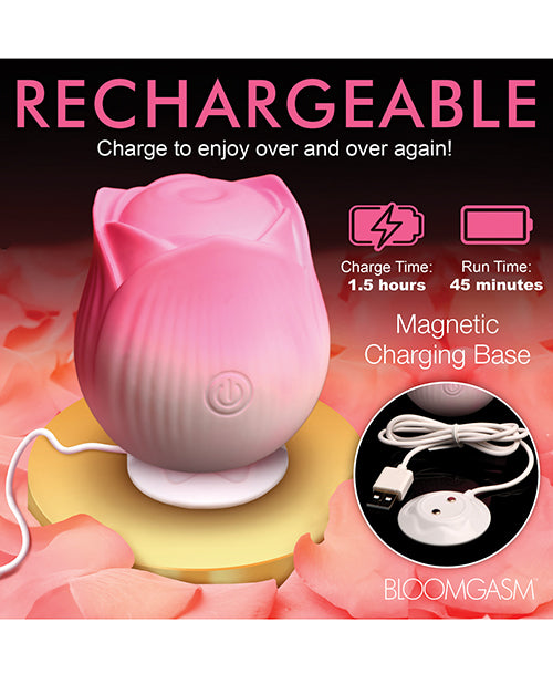 XRAH387-Pink - XRAH387-Pinkg