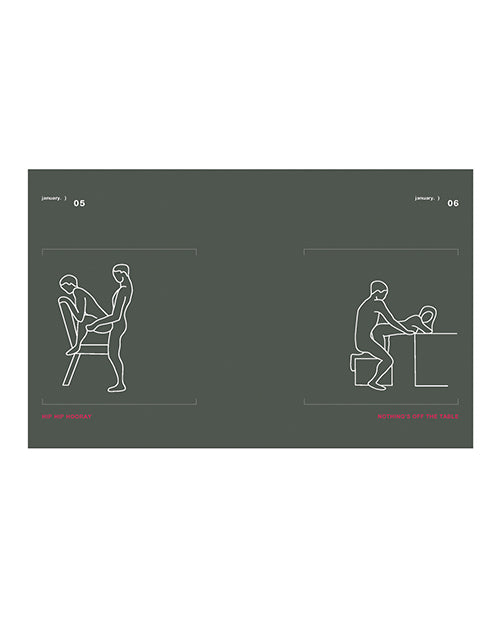 Position of the Day Sex Every Day in Every Way Book Revised and Updated