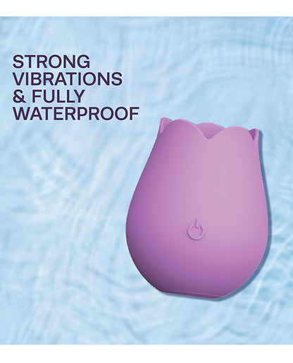 Cosmopolitan X plusOne Rose to the Top Vibe