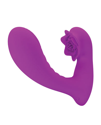 BI-040175 - BI-040175c