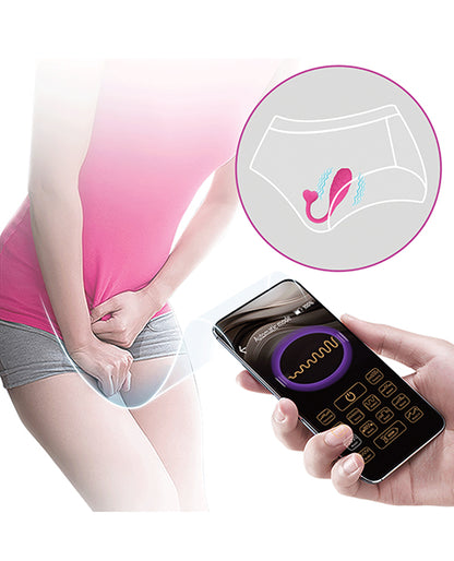 BI-300016HP - BI-300016HPd