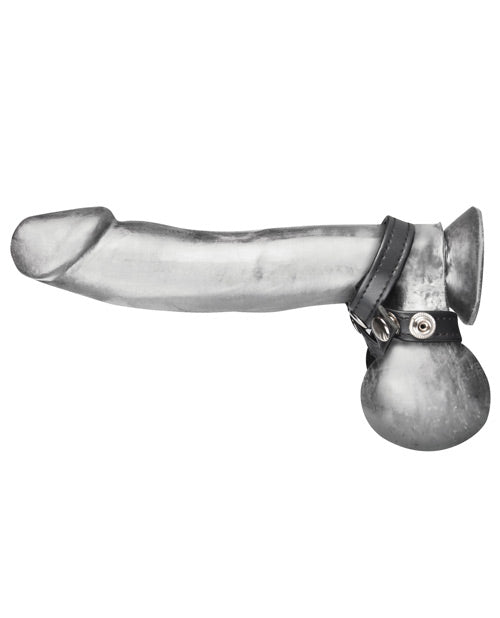 Blue Line C & B 8 Style Ball Divider