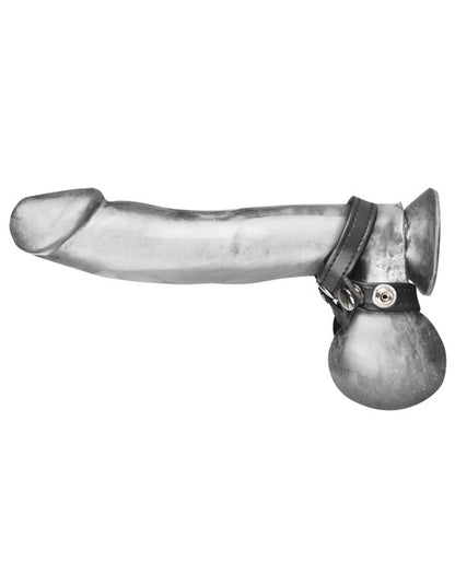 Blue Line C & B 8 Style Ball Divider