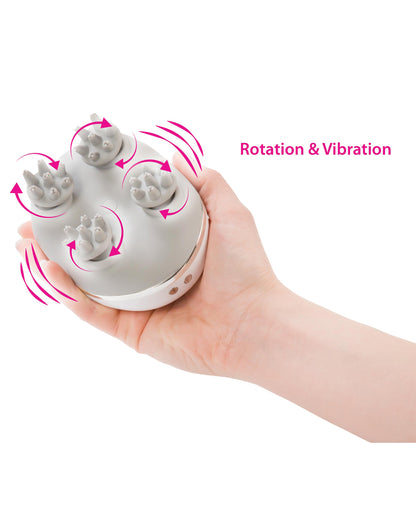 BMS3-55016 - BMS3-55016c