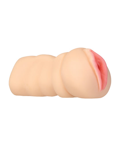 BMS44004 - BMS44004b