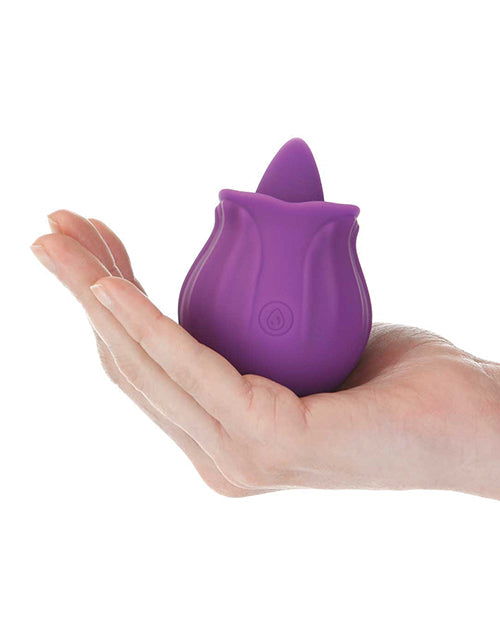 BMSMM1202 - BMSMM1202c