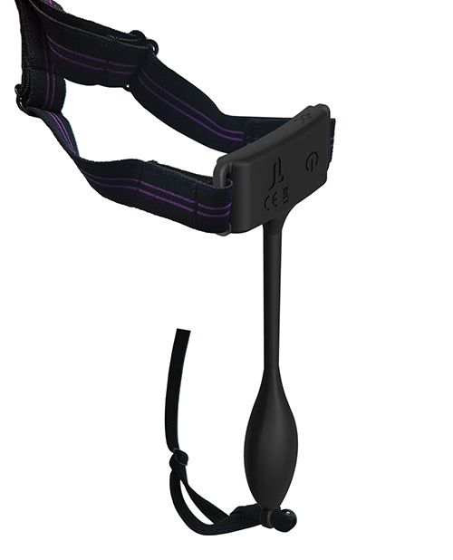 CNEX407-19 - CNEX407-19a