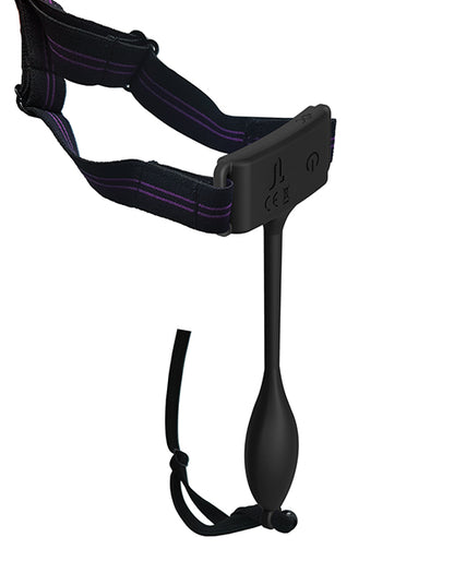 CNEX407-19 - CNEX407-19a