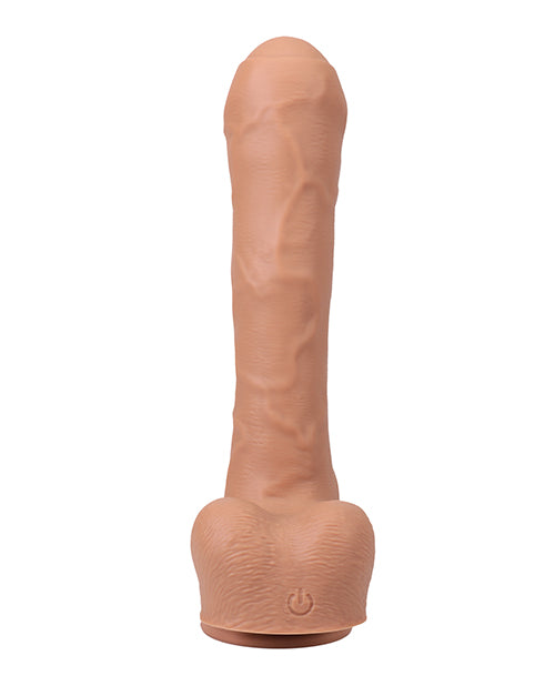 DJ1100-21 - DJ1100-21b