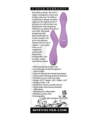 Evolved Lilac G Petite G Spot Vibe - Purple