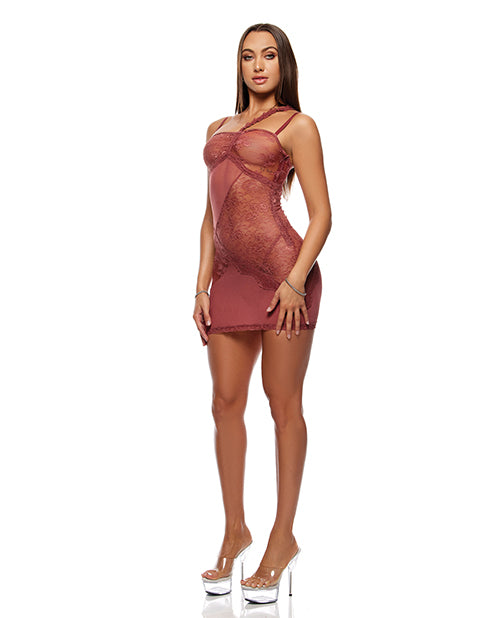 Patch of Petals Sheer Mesh and Lace Chemise w/Thong 2 pc Set - Mauve SM
