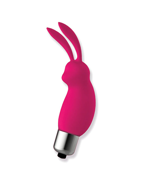 IBIC2638 - IBIC2638a