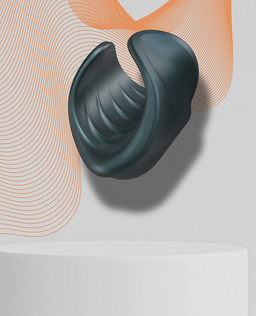 LP6018699 - LP6018699b