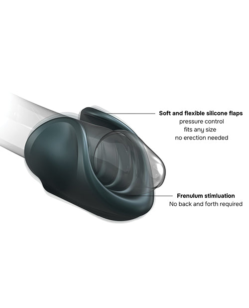 LP6018699 - LP6018699c