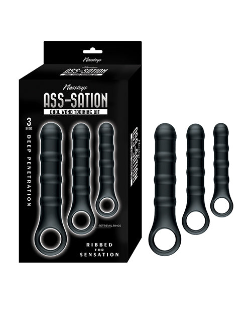 Nasstoys Ass-Sation Anal Wand Training Kit - Black