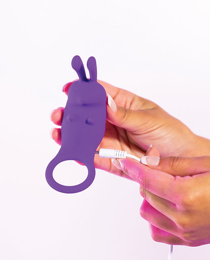 Natalie's Toy Box The Cock Hopper Cock Ring & Bullet Vibrator - Purple