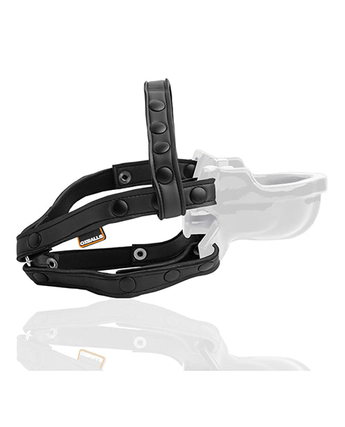 OX3040-WHT - OX3040-WHTb