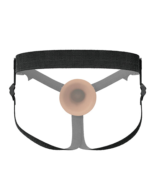 PD4161-29 - PD4161-29d