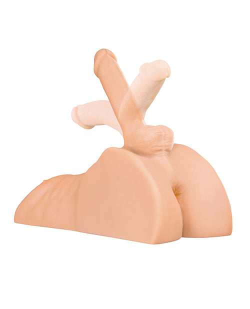 PDRD186-21 - PDRD186-21b