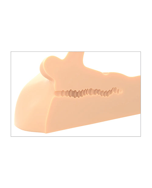 PDRD186-21 - PDRD186-21d