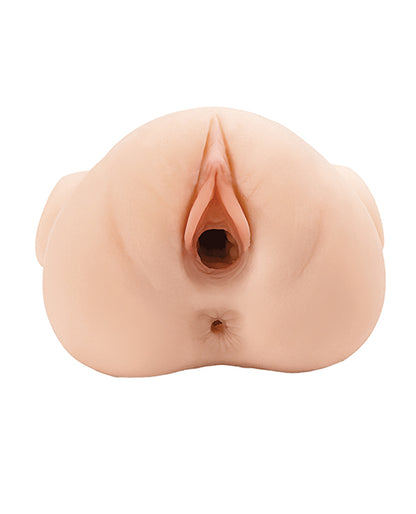 PDRD434-21 - PDRD434-21b