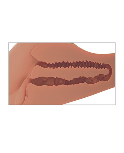 PDRD619-22 - PDRD619-22d