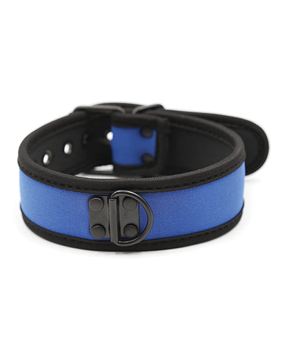 Plesur Plesur Neoprene Puppy Collar - Blue - Image 5