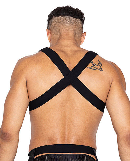 Master Harness w/Hook & Ring Closure Black XL