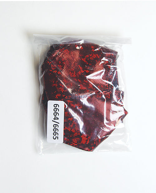 Shimmer Tie Back Tube Top w/Cheeky Panty 2 pc Set - Red O/S