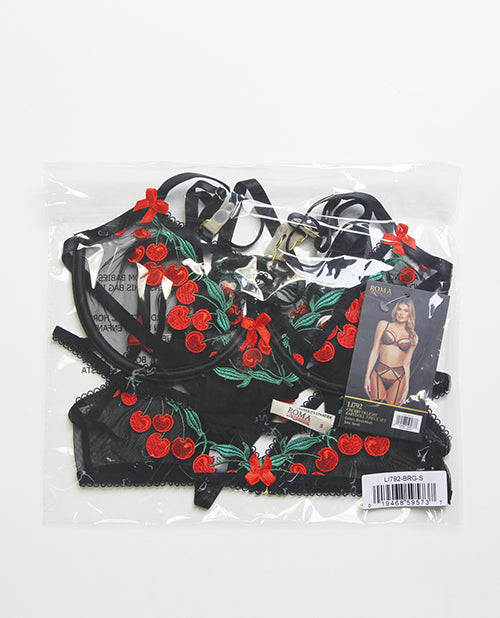 Cherry Delight Embroidered Lace and Mesh Underwire Bra w/Garter & G-String 3 pc Set - Black SM