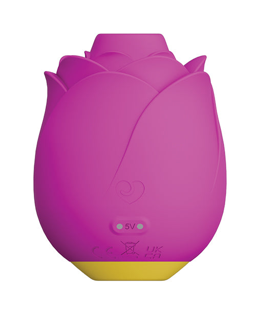 RP301SG4 - RP301SG4b