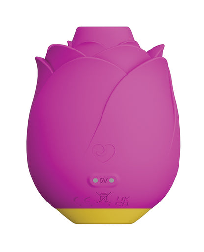 RP301SG4 - RP301SG4b