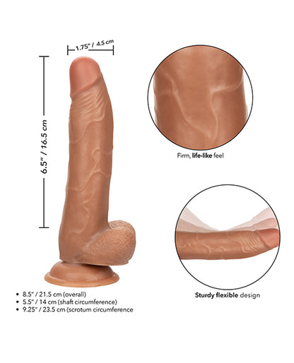 SE0273-06 - SE0273-06c