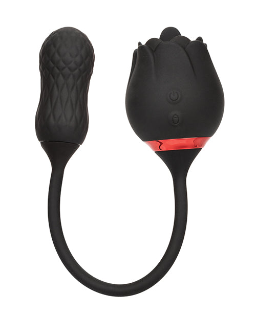 SE0608-70 - SE0608-70a