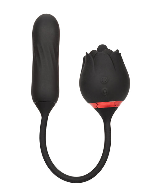 SE0608-75 - SE0608-75a