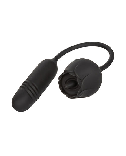 SE0608-80 - SE0608-80b