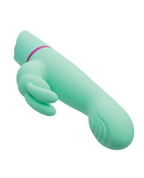 SE0619-58 - SE0619-58b