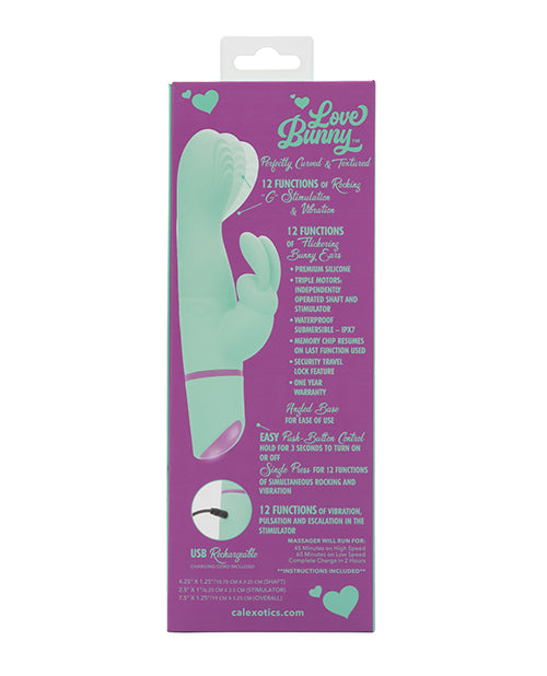 SE0619-58 - SE0619-58f