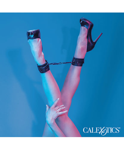 SE3100-45 - SE3100-45e