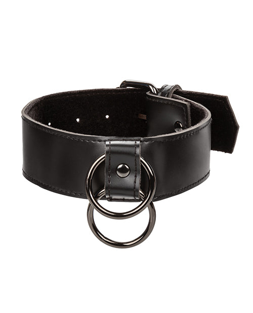 Euphoria Collection Collar w/Chain Leash