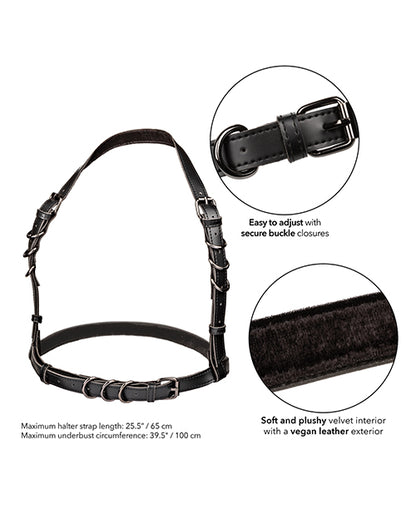 SE3101-06 - SE3101-06b