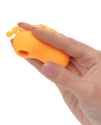 SE4403-20 - SE4403-20c