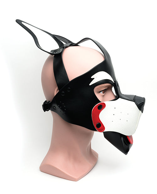 665 Playful Pup Hood - O/S Black/Red/White